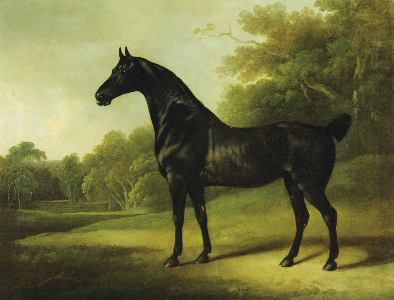 Ormanlık Bir Peyzajda Bir Defne Atı by Charles Henry Schwanfelder