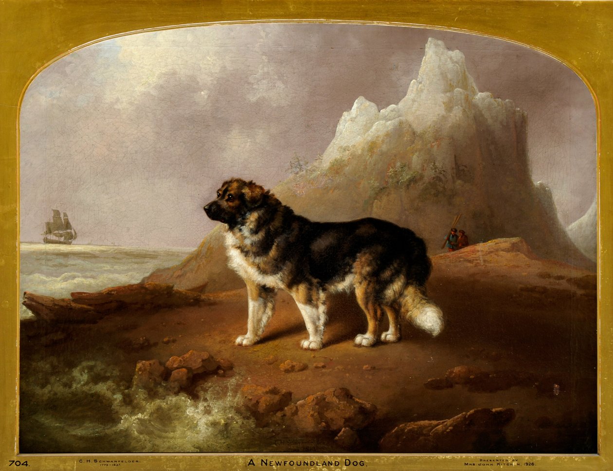 Newfoundland Köpeği by Charles Henry Schwanfelder