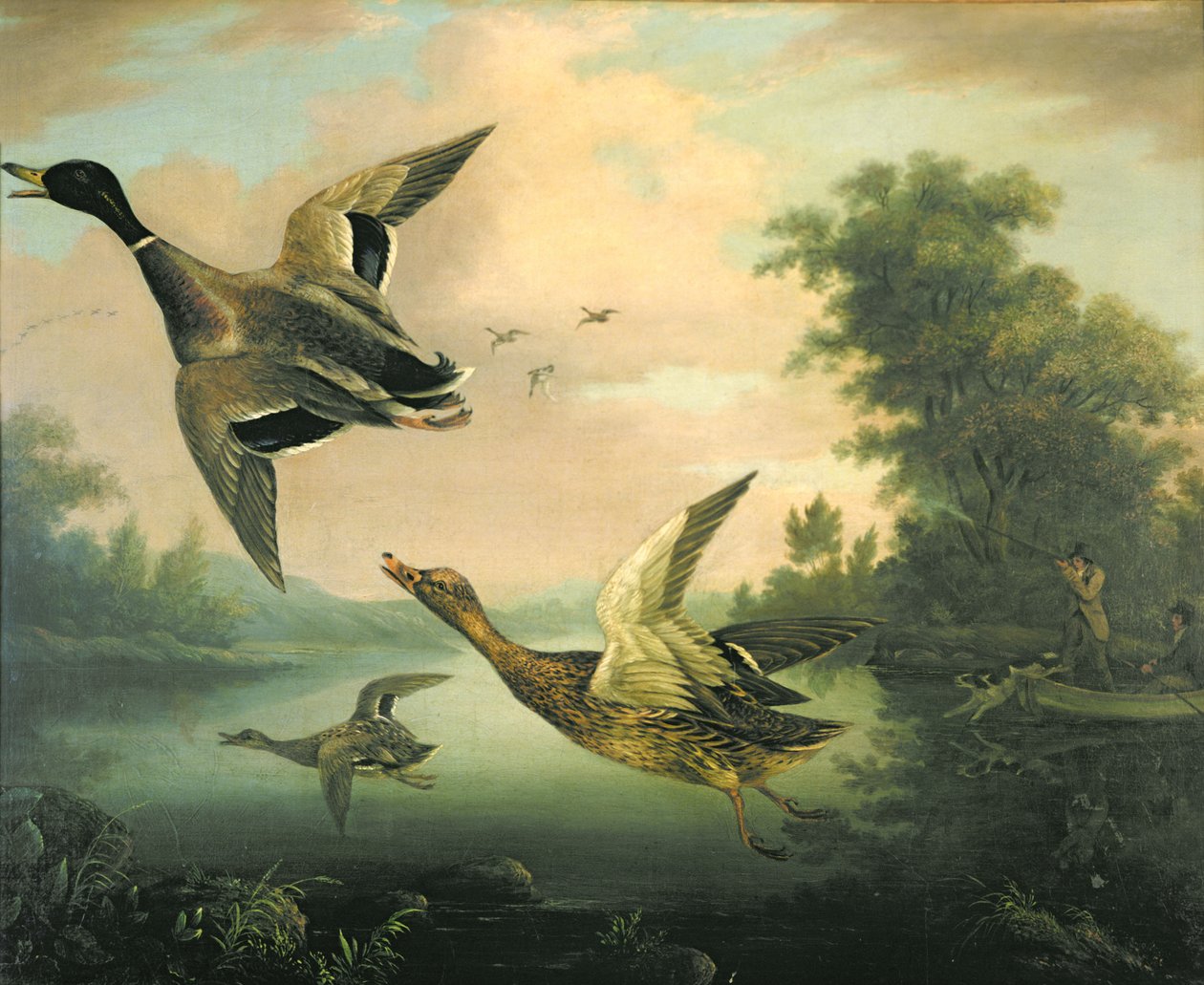 ördek avı by Charles Henry Schwanfelder