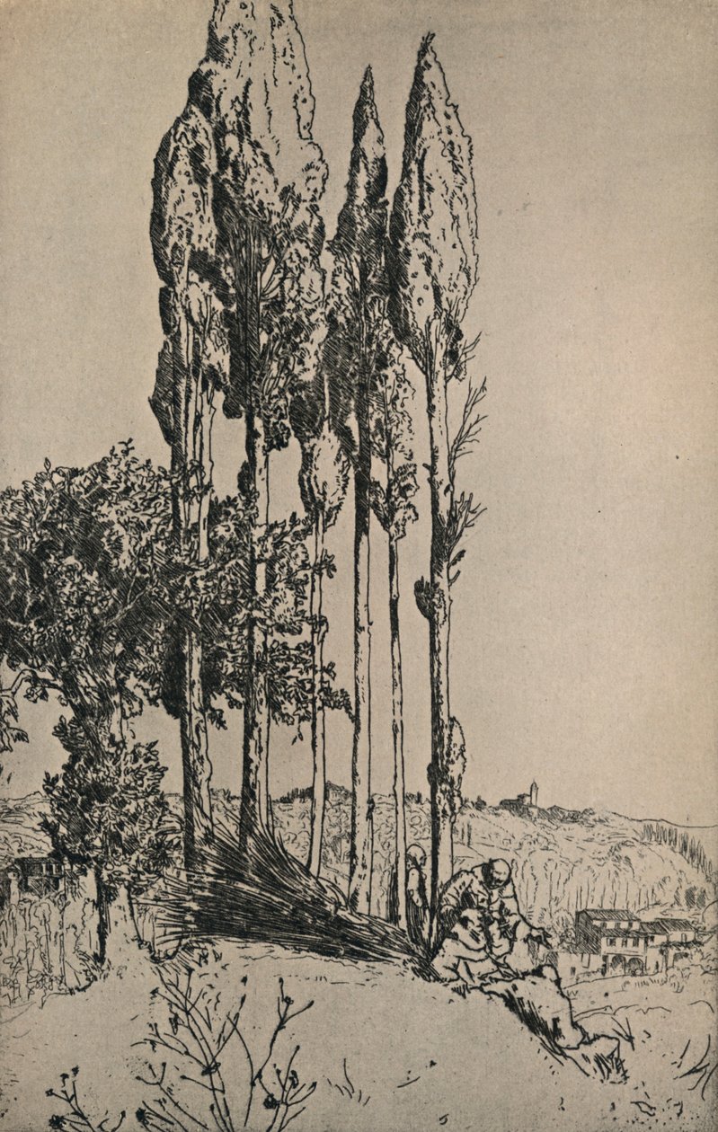 Siena Yakınlarındaki Selvi Ağaçları, 1903 by Charles Holroyd