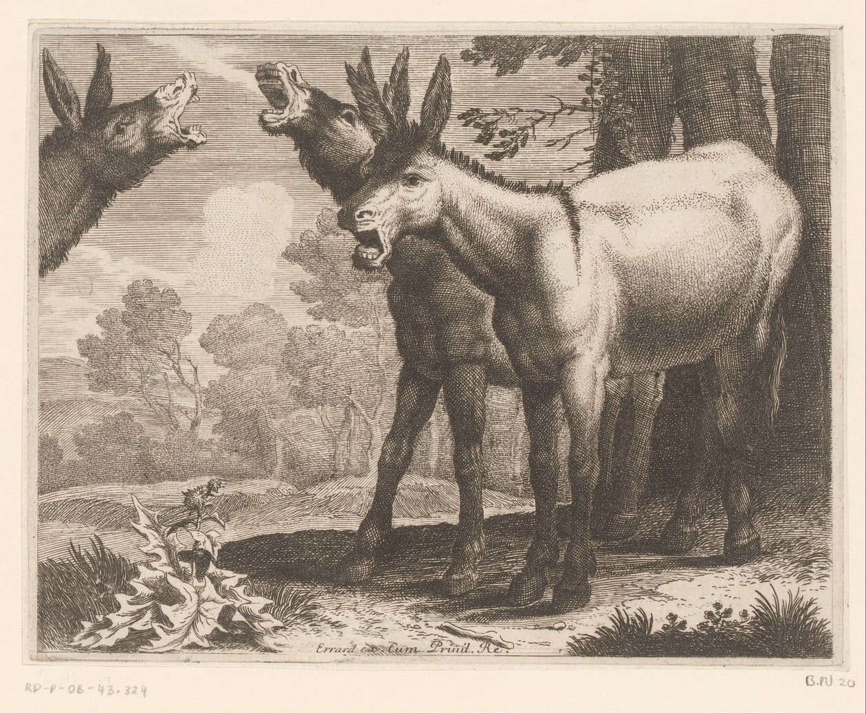 anıran eşekler Hayvan serisi (dizi adı) by Charles II Errard (attributed to)