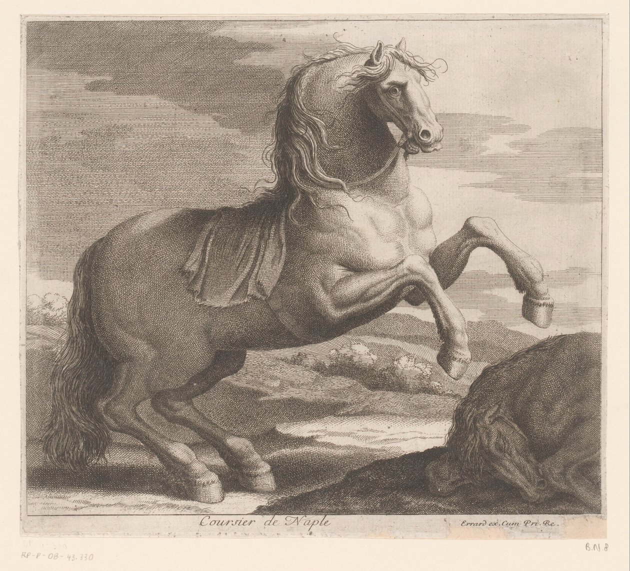 at yetiştirmek Coursier de Naples (nesne üzerindeki başlık) Hayvan serisi (dizi adı) by Charles II Errard (attributed to)