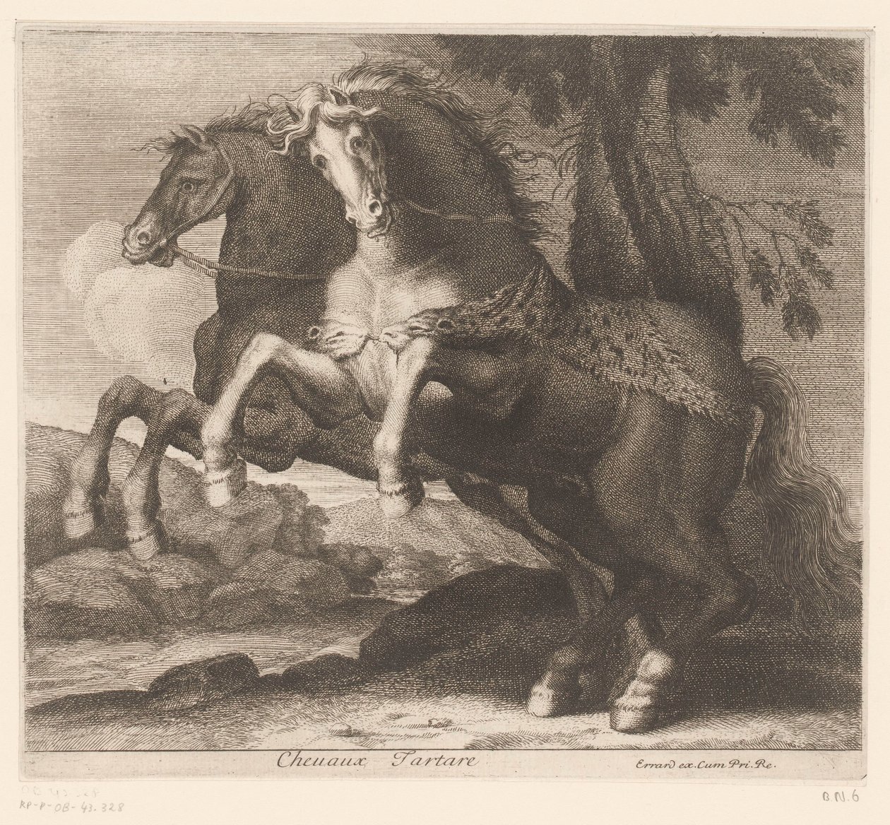 at yetiştirmek Chevaux Tartar (nesne üzerindeki başlık) Hayvan serisi (dizi adı) by Charles II Errard (attributed to)