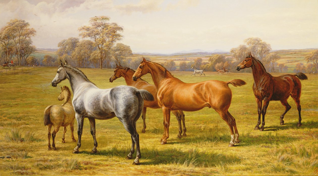 Bir Tarlada Atlar ve Tay by Charles Jones