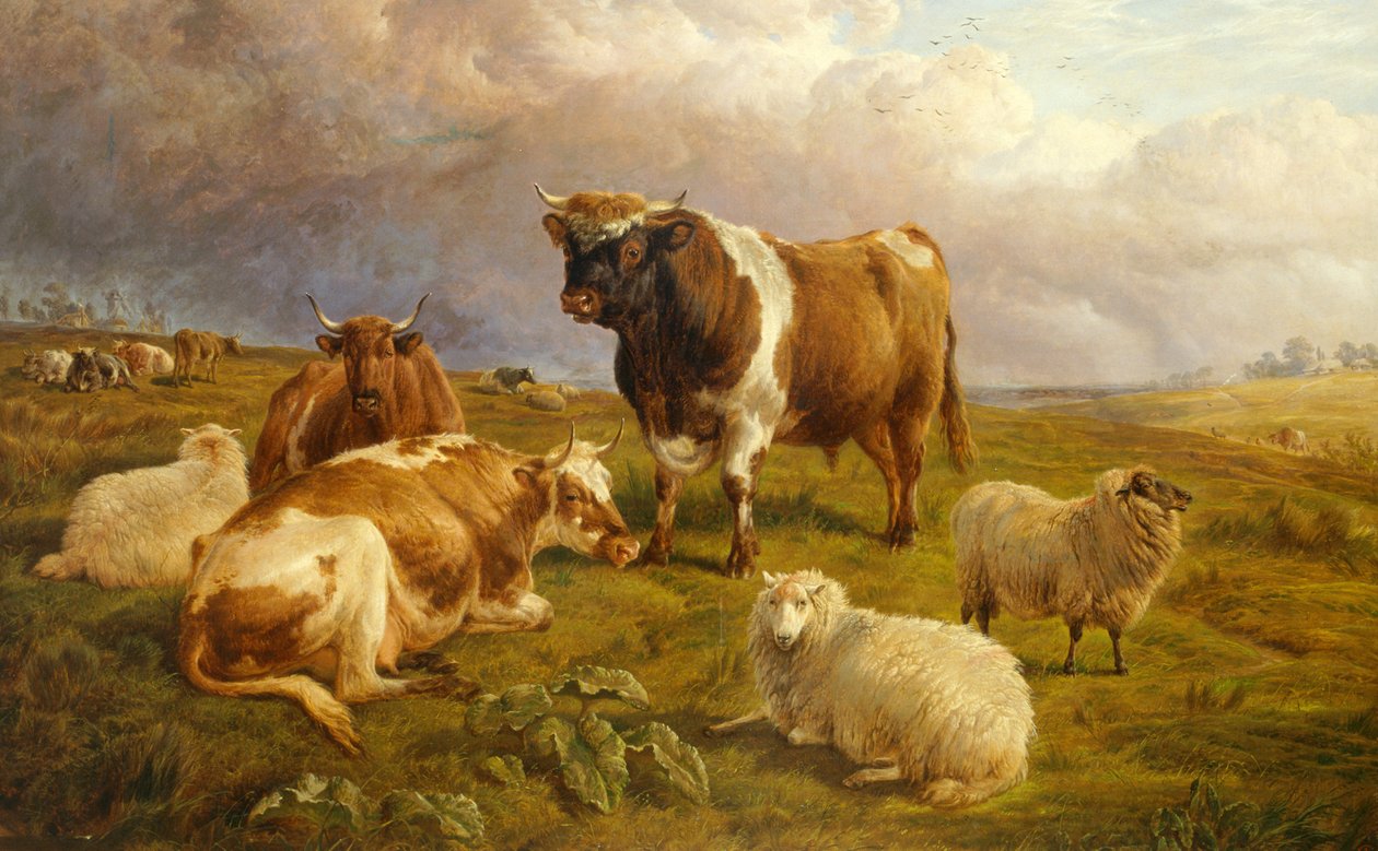 Repose (tuval üzerine yağlıboya) by Charles Jones