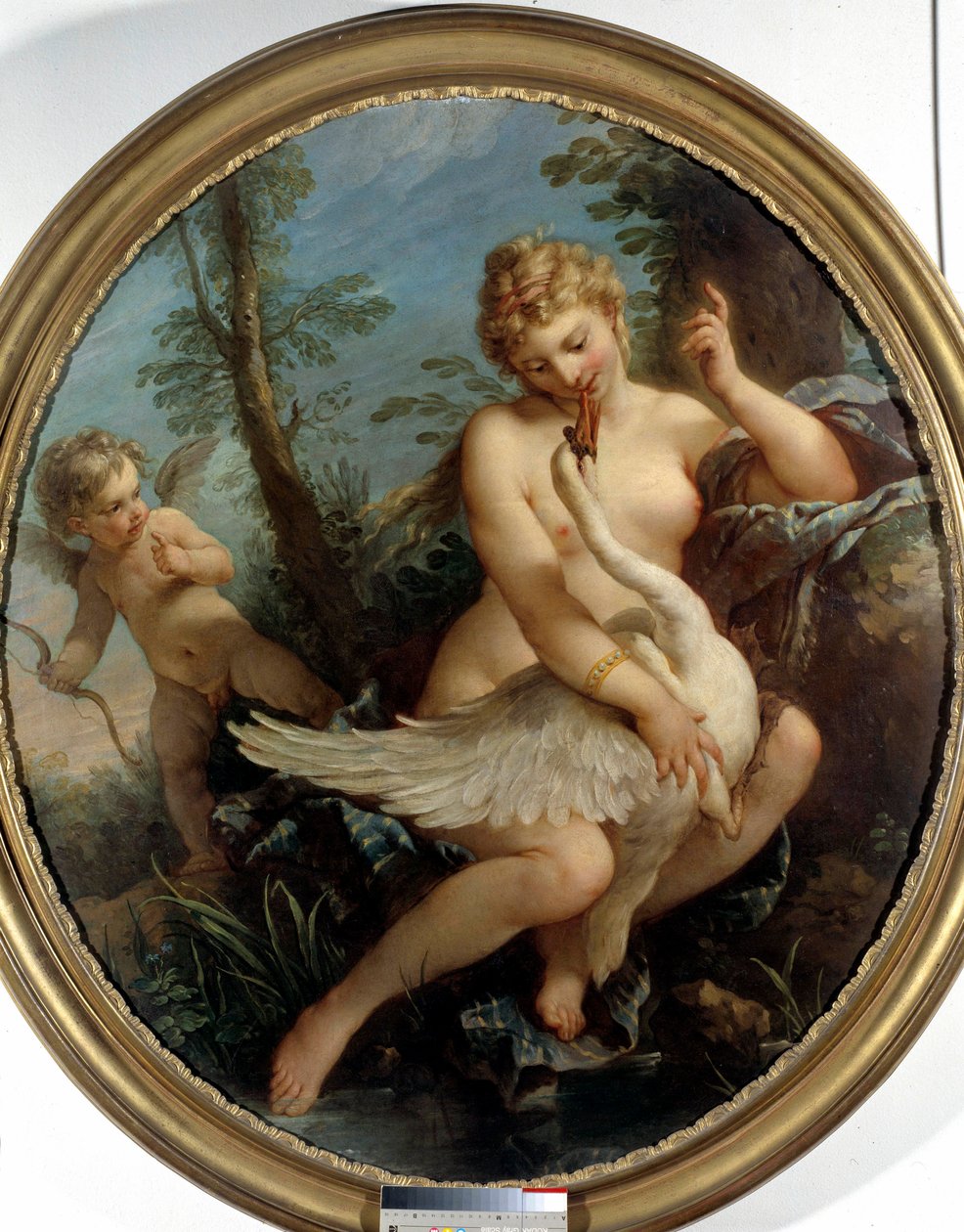 Leda ve Kuğu Leda ve tanrı Zeus ona yaklaşmak için bir kuğuya dönüşür. Charles Joseph Natoire (Charles-Joseph Natoire) tarafından yapılan boyama by Charles Joseph Natoire