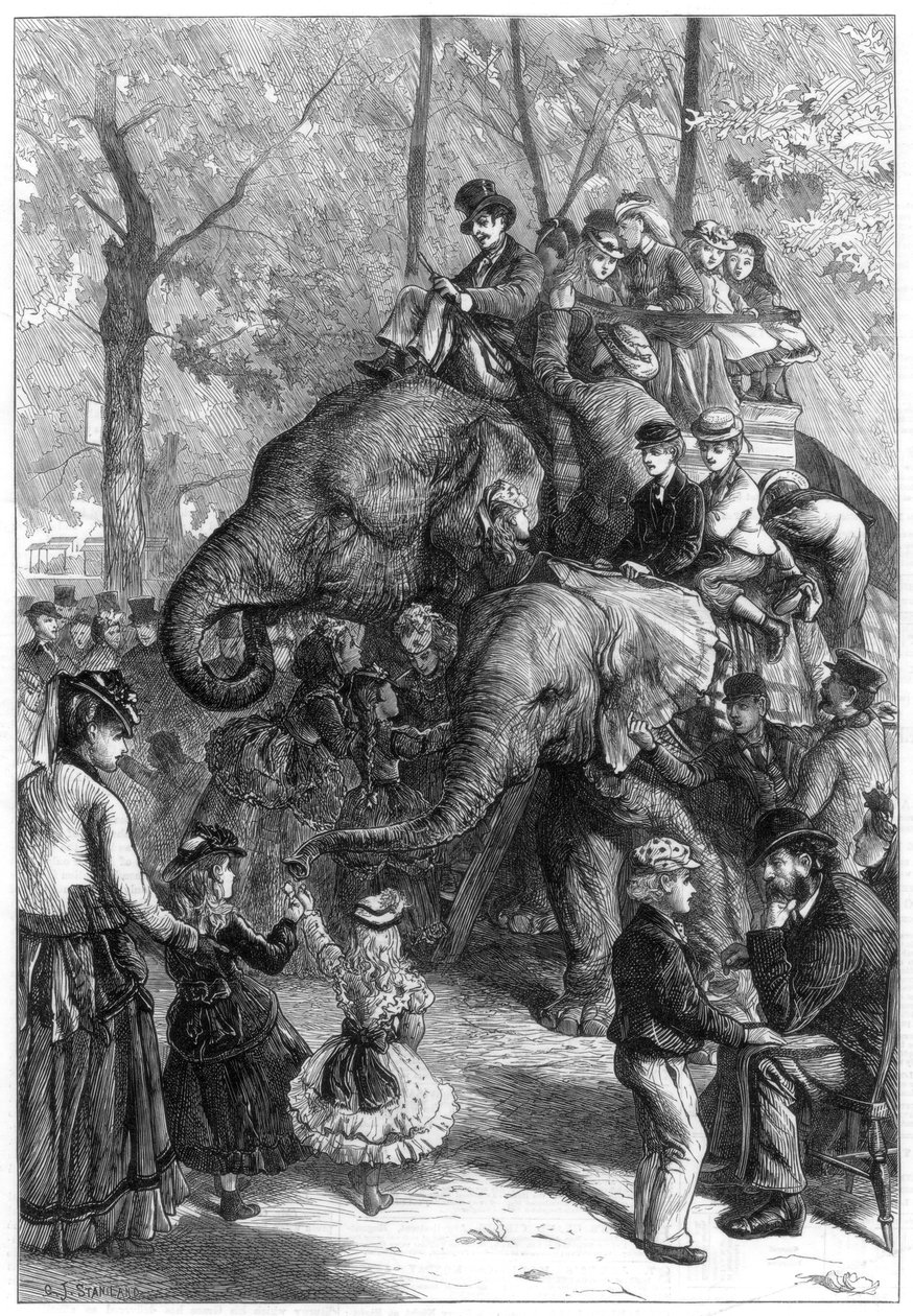 Pazartesi öğleden sonra hayvanat bahçesi bahçelerinde, 1871. by Charles Joseph Staniland
