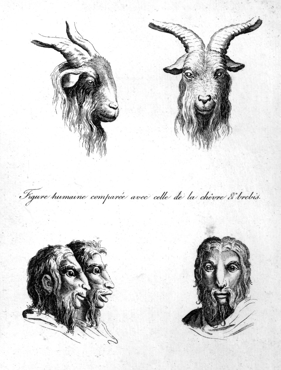 'L'Art de Connaitre les Hommes', cilt. Johann Lavater tarafından 10, Pierre Nicolas Ransonnette tarafından oyulmuş, 1806'da yayınlandı by Charles Le Brun
