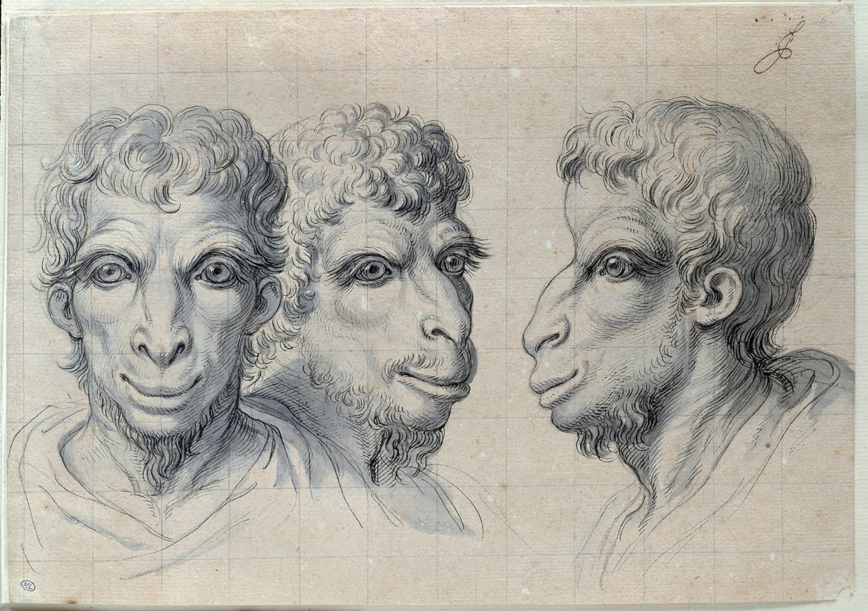 Charles Lebrun (Le Brun) (1619-1690) tarafından deve fizyonomisini hatırlatan üç adam başı çalışmaları 17. yüzyıl. karartmak 0,22x0,32 m. Paris, Louvre Müzesi by Charles Le Brun