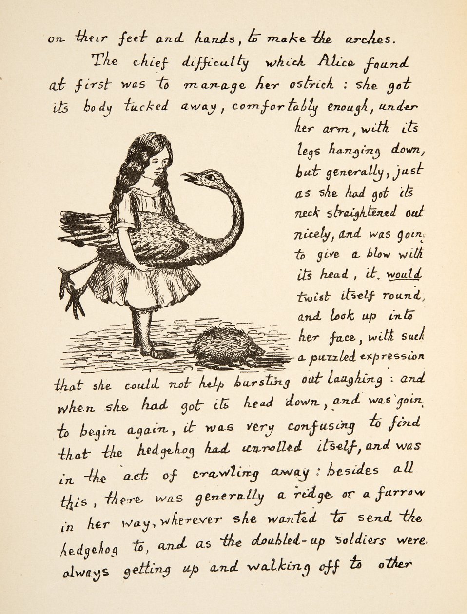 Alice, Devekuşu