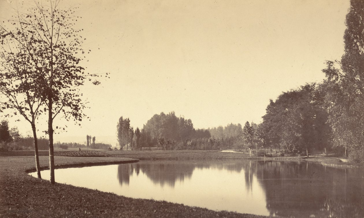 Bois de Boulogne by Charles Marville