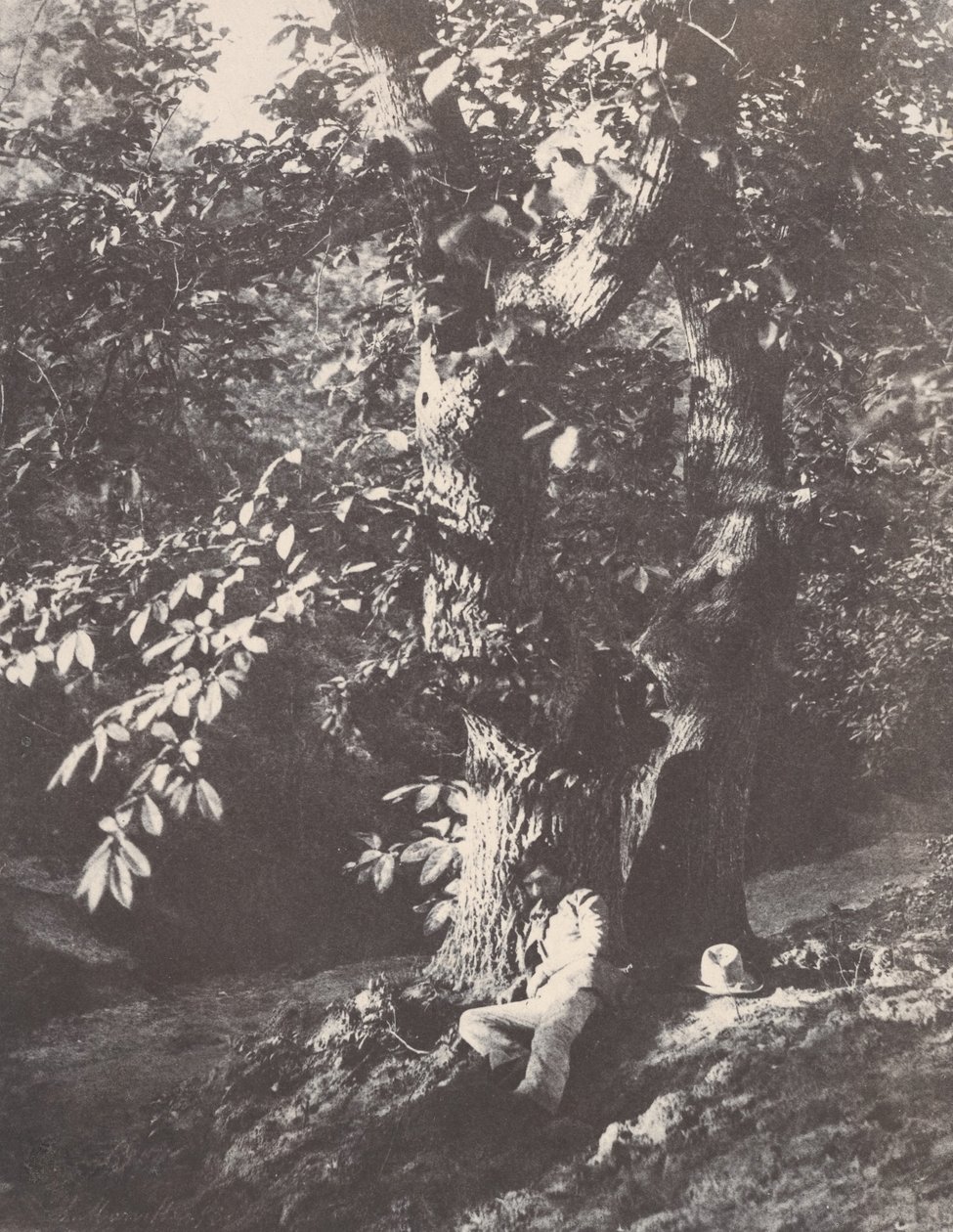 Bir kestane ağacının dibinde yatan adam, 1850-53. by Charles Marville