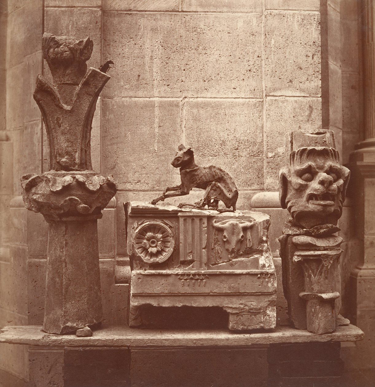 Saint-Germain-en-Laye kazılarında bulunan Mumyalanmış Kedi, M.Ö. 1862. by Charles Marville
