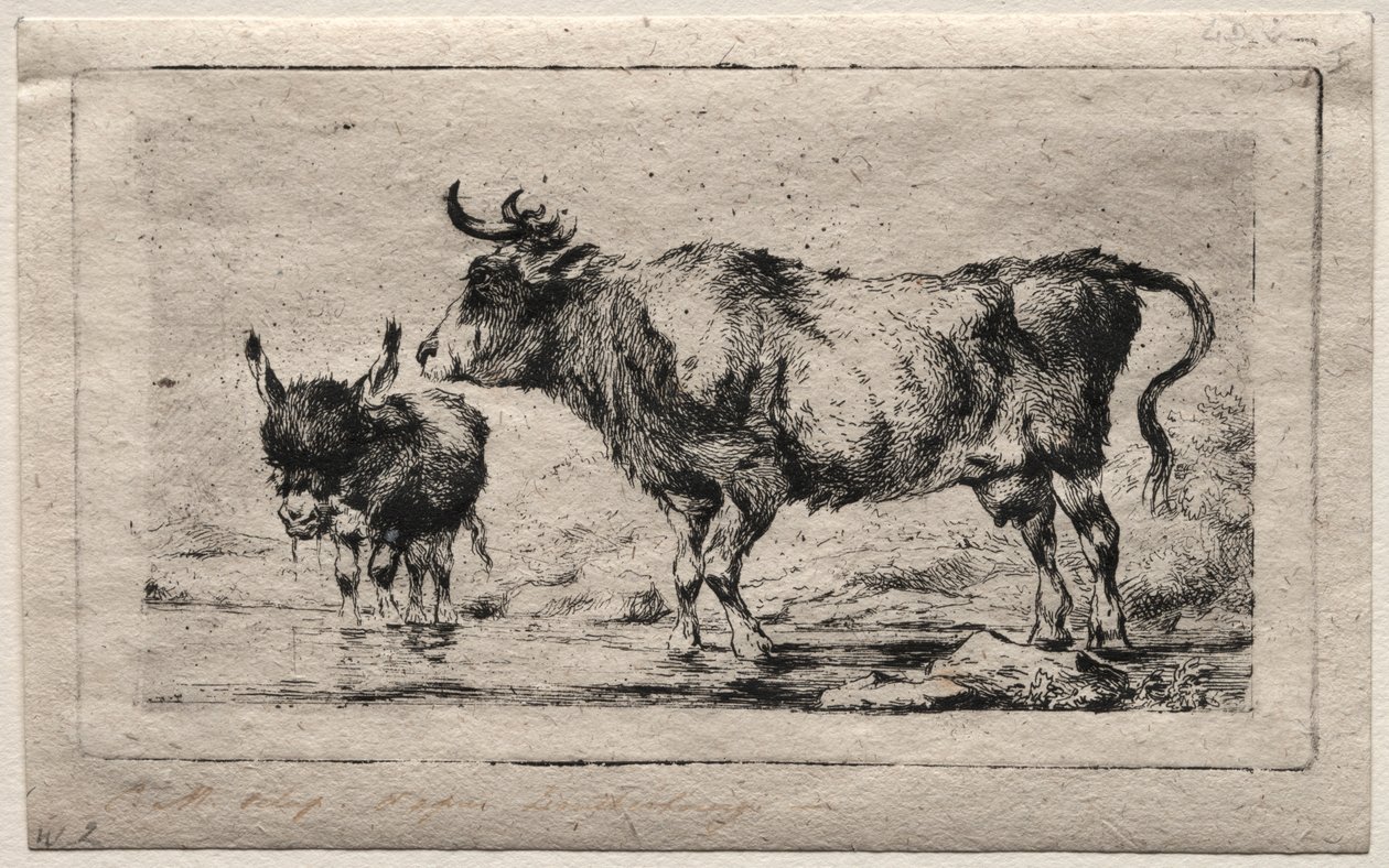 inek ve eşek by Charles Meryon