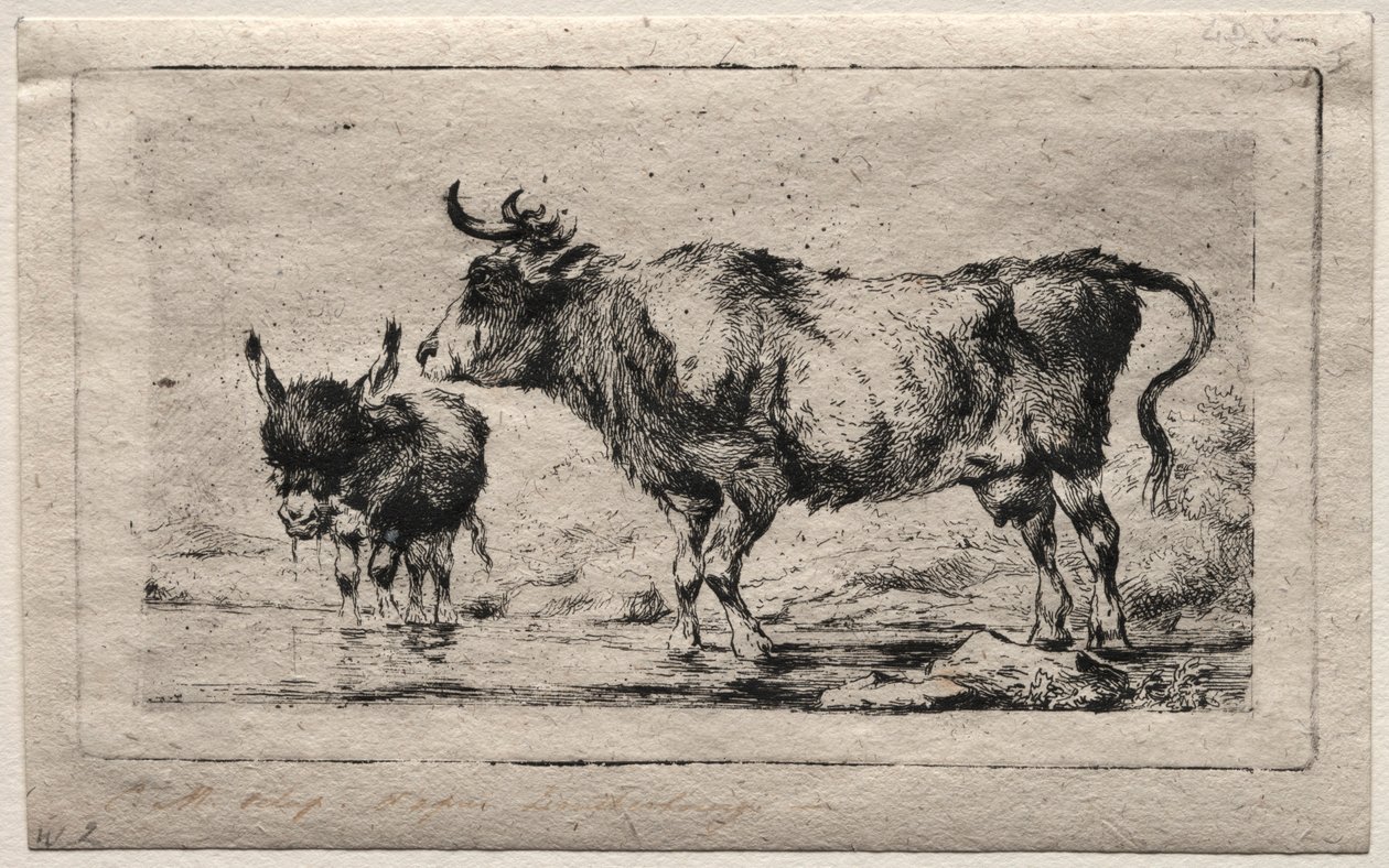 İnek ve Eşek, 1849. by Charles Meryon