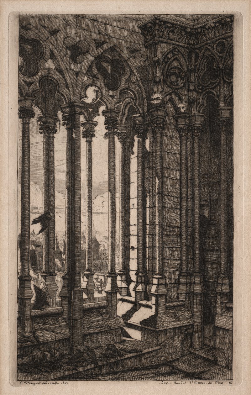Paris Gravürleri: Notre Dame Galerisi by Charles Meryon