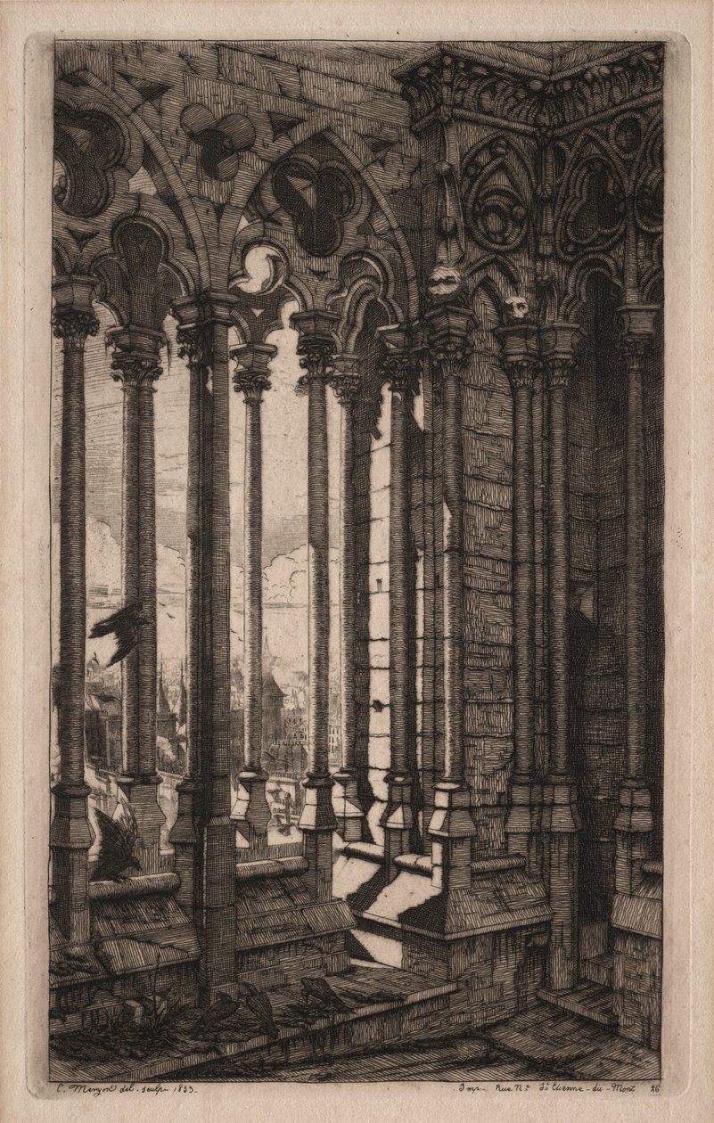 Paris Gravürleri: Notre Dame Galerisi, 1853. by Charles Meryon