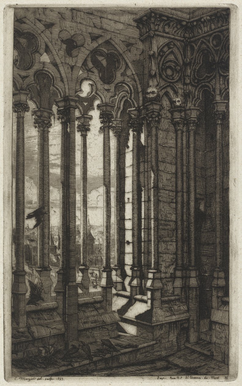 Notre Dame Galerisi, Paris (Notre Dame Galerisi, Paris) by Charles Meryon