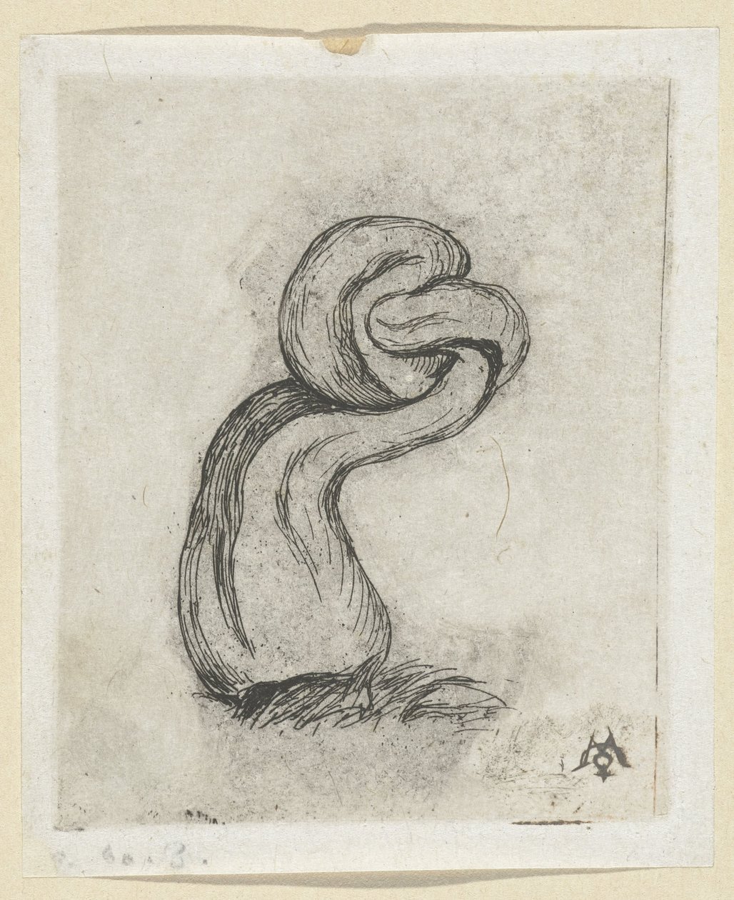 Misvormde paddestoel (Cryptogamae) Malingre Kripto Oyunu by Charles Meryon