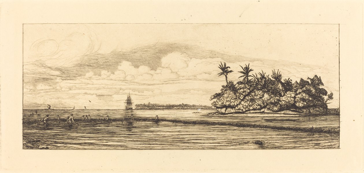 Okyanusya, Uvea