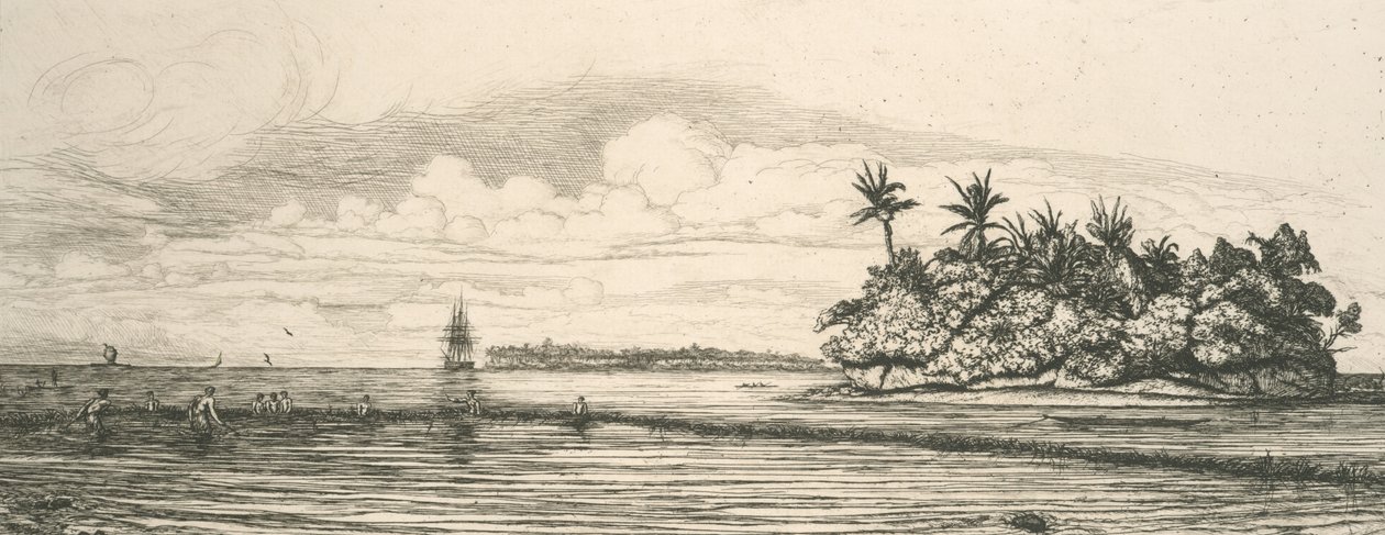 Okyanusya, Uvea