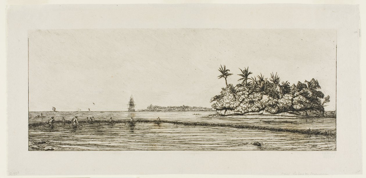 Okyanusya: Balık Tutma, Uea veya Wallis Grubunda Palmiyeli Yakın Adalar, 1845 by Charles Meryon