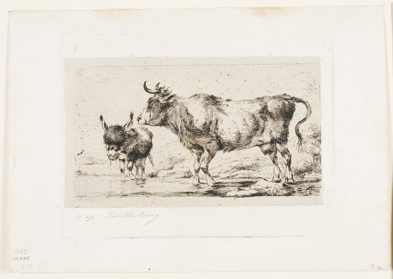 inek ve eşek by Charles Meryon