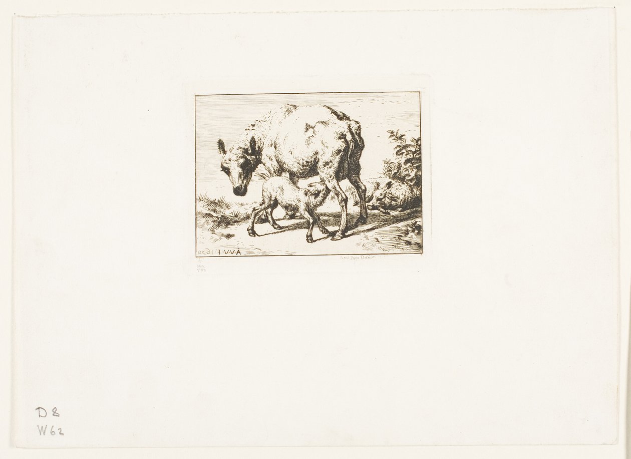İki Kuzulu Koyun by Charles Meryon