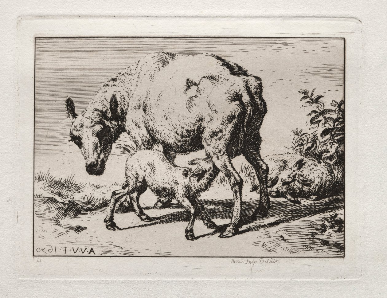İki Kuzulu Koyun, 1850. by Charles Meryon