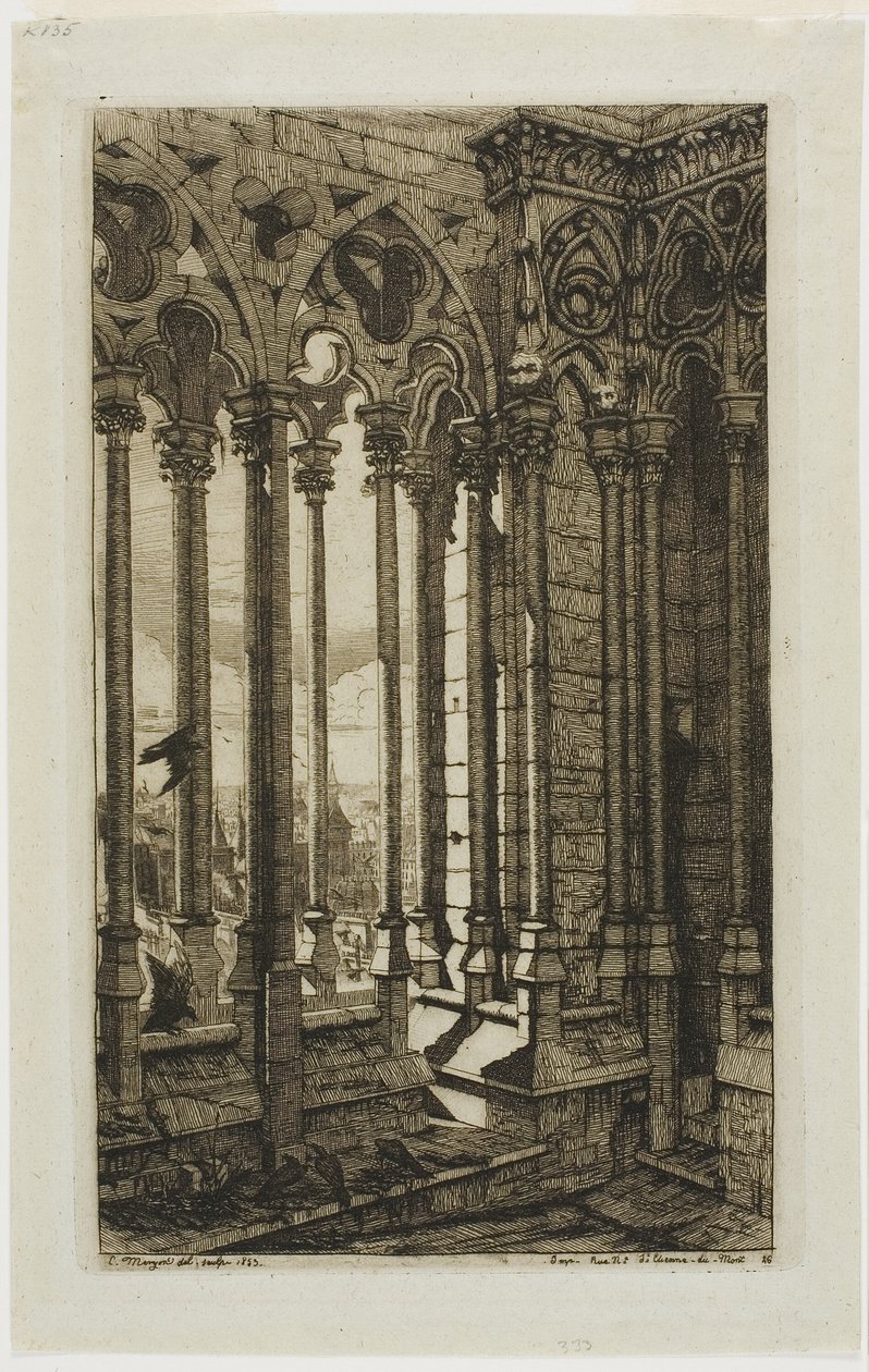 Notre Dame Galerisi, Paris by Charles Meryon