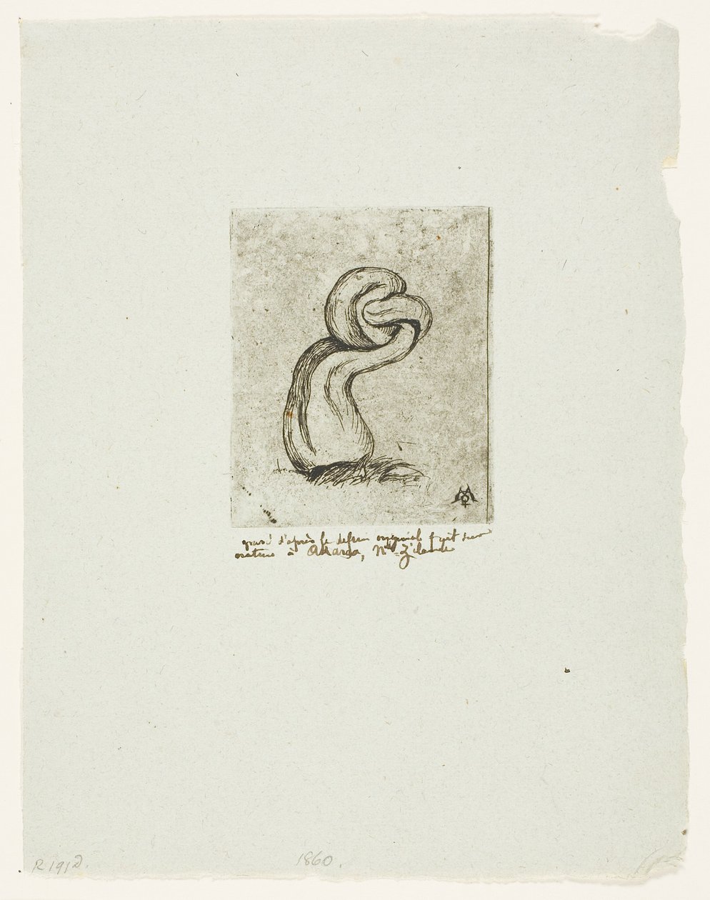 hastalıklı kriptogam by Charles Meryon