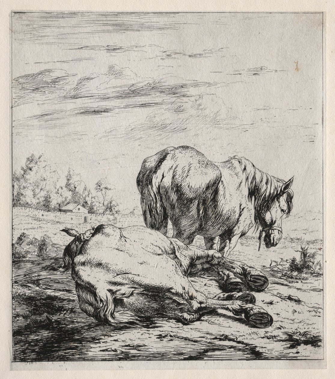 İki At, 1850. by Charles Meryon