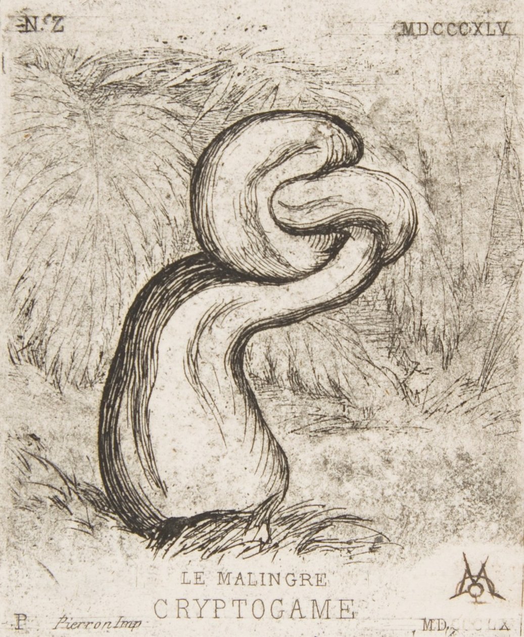 Cılız Cryptogamia, 1860. by Charles Meryon