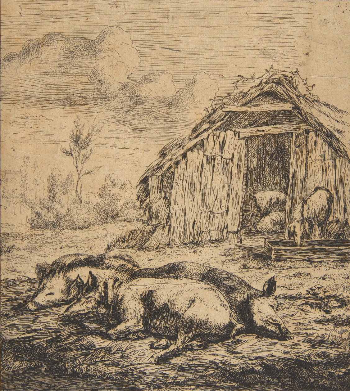 Bir Kulübenin Önünde Yatan Üç Domuz, 1850. by Charles Meryon