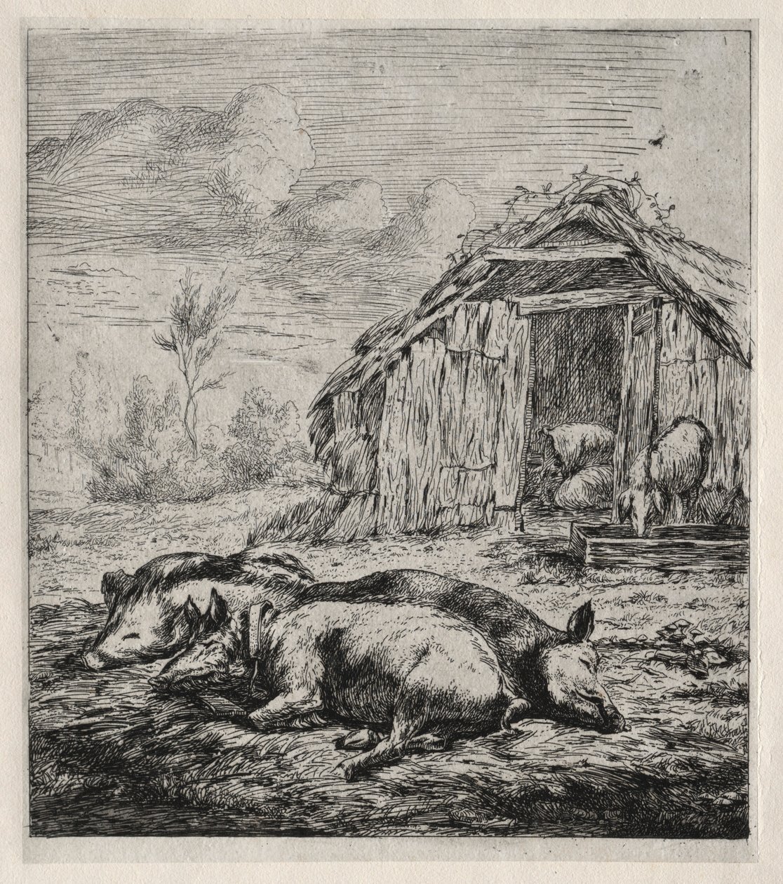 Arpacık Önünde Yatan Üç Domuz, 1850. by Charles Meryon