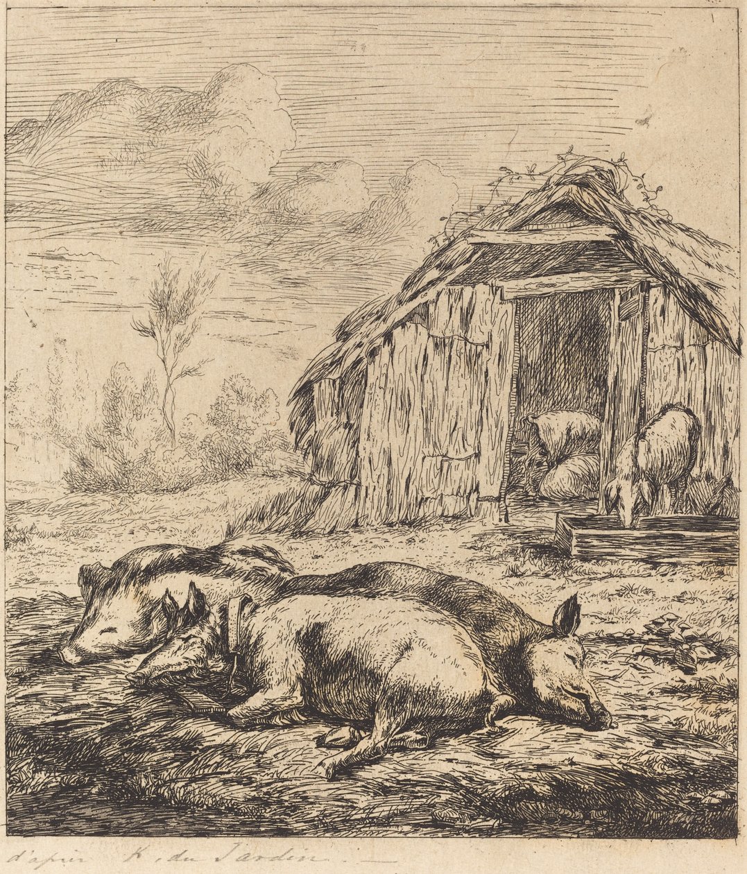Ahırın Önünde Yatan Üç Domuz (Ahırın Önünde Yatan Üç Domuz) by Charles Meryon after Karel Dujardin