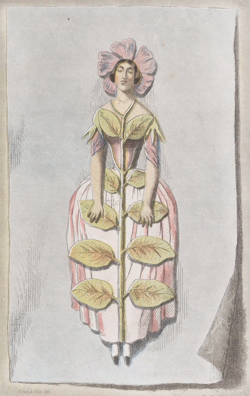 Kurutulmuş Deniz Salyangozu, Les Fleurs Animées, 1847., 1847