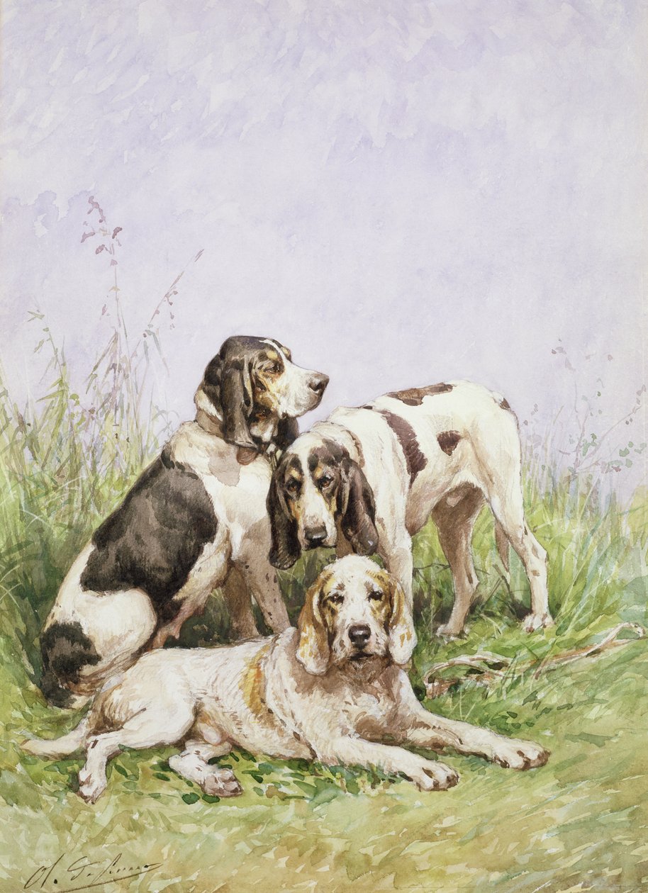 Bir Grup Fransız Hounds by Charles Oliver de Penne