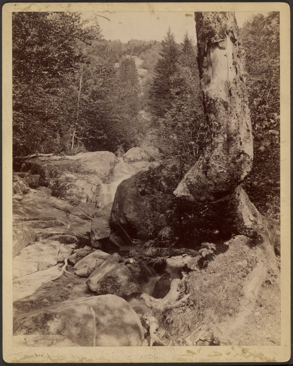  by Charles P. Hibbard