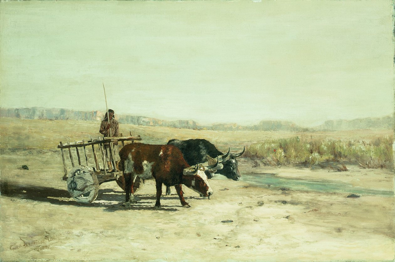 New Mexico