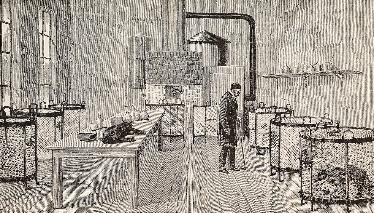 Fransız kimyager ve biyolog Louis Pasteur#39;un (1822-1895) laboratuvarındaki kafeslerdeki köpekler, Paris, Fransa, L#39;Illustrazione Italiana#39;dan gravür, yıl 12, sayı 46, 15 Kasım by Charles Paul (after) Renouard