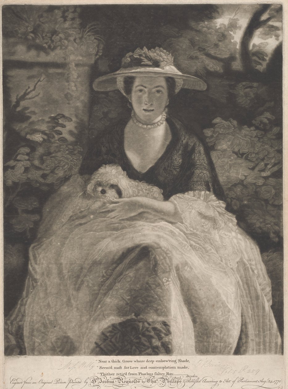 Bayan Nelly O'Brien by Charles Phillips