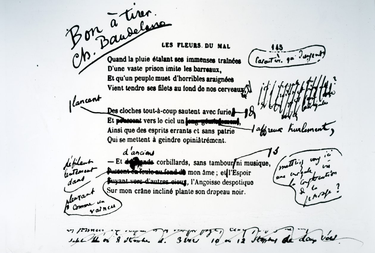 Les Fleurs du Mal