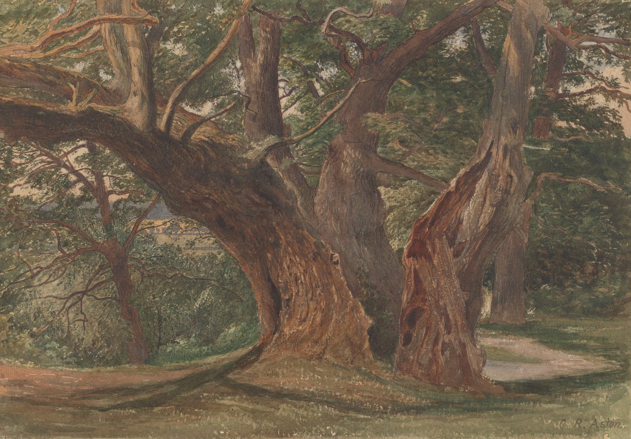 Peyzajdaki Ağaçlar by Charles Reginald Aston