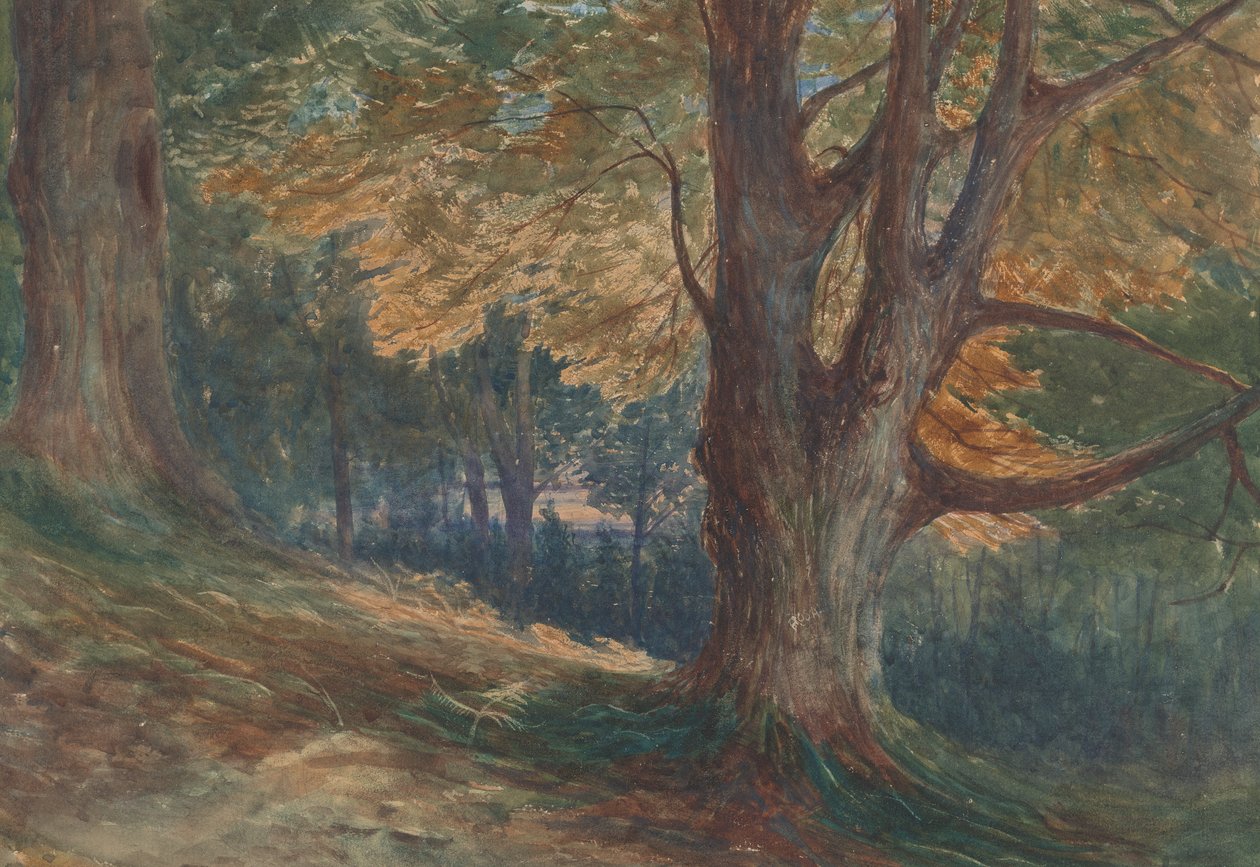 Ormanlık Bir Manzarada Bir Tepedeki Ağaçlar by Charles Reginald Aston