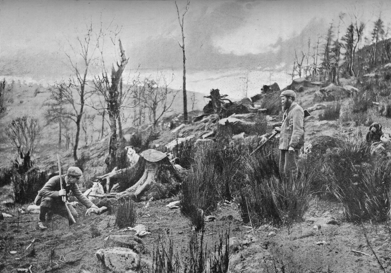 Gelinciği yerleştirme, c1900, 1903 by Charles Reid