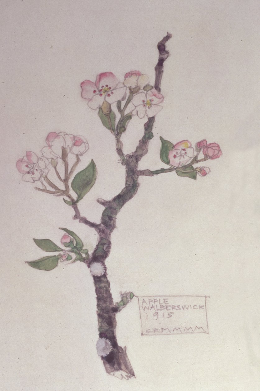 Elma, Walberswick, 1915 (kalem ve wc) by Charles Rennie Mackintosh