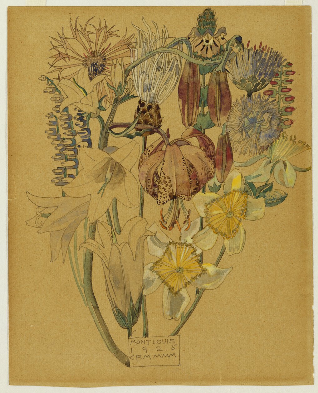 Mont Louis - Çiçek Çalışması, 1925 by Charles Rennie Mackintosh