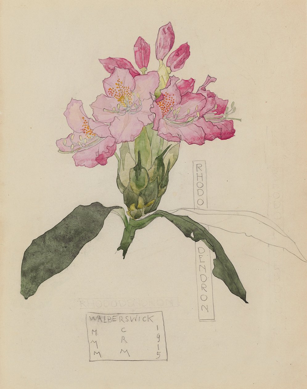Bir Rhododendron Çalışması by Charles Rennie and MacDonald Mackintosh Margaret Mackintosh