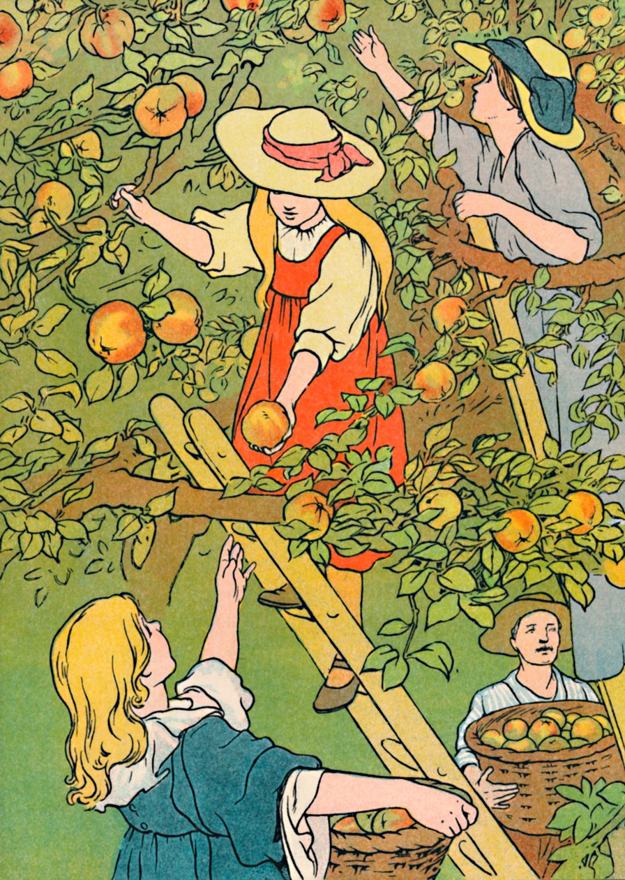 Meyveyi Toplamak, 1912 by Charles Robinson